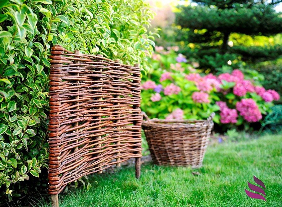 Кончаловский усадьба плетень