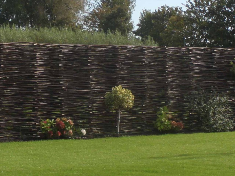 Лоза ивы плетень