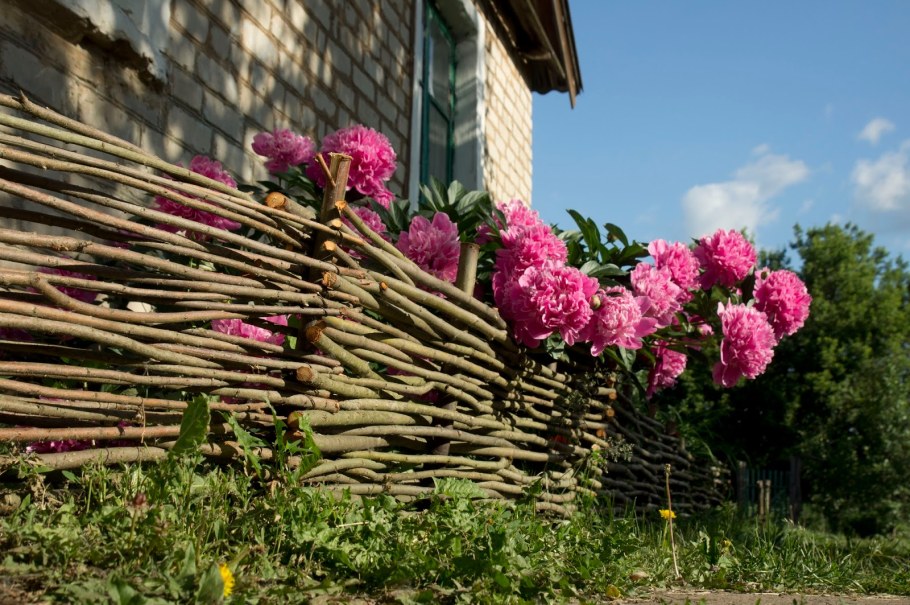 Плетенка из веток