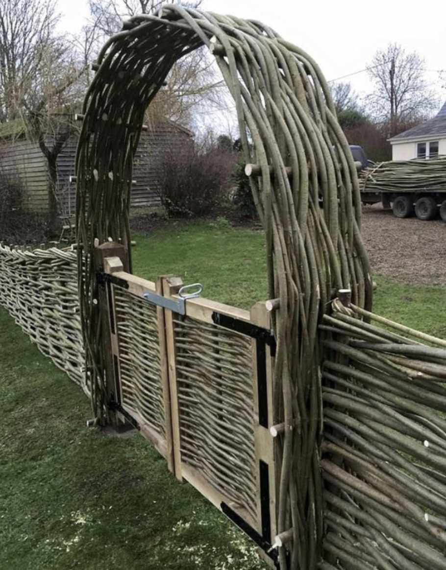 Забор плетень лоза