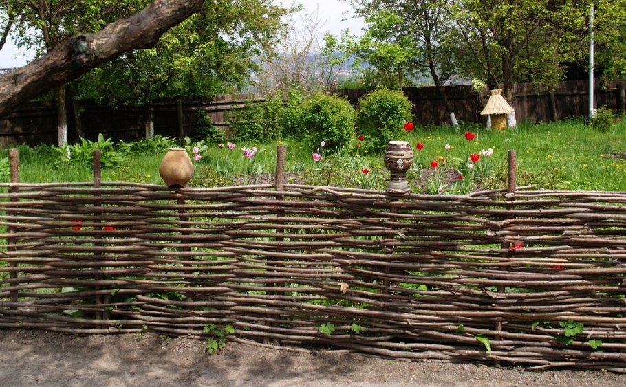 Плетеная Живая изгородь Ива