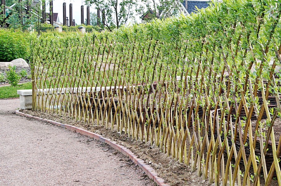 Забор канадская плетенка