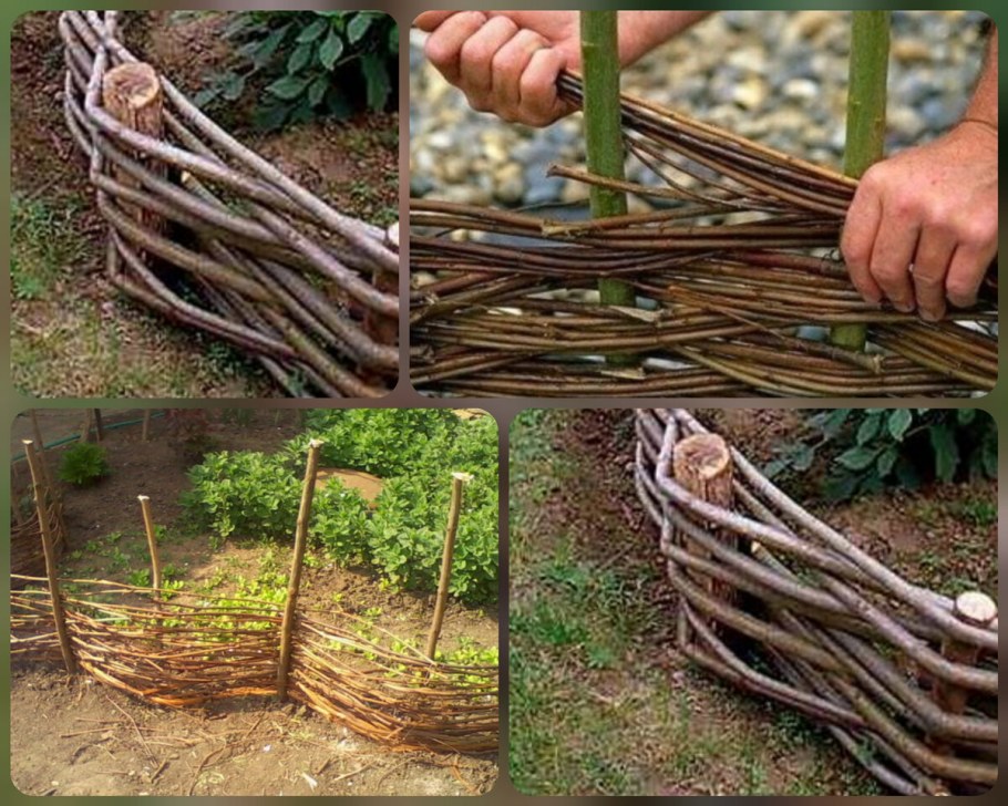 Забор из тальника