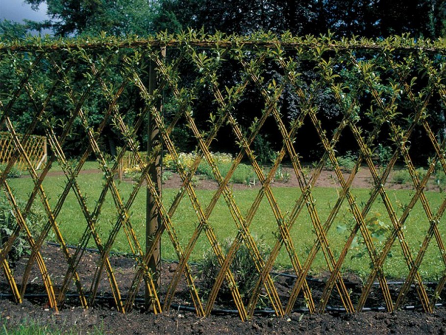 Палисадник плетень