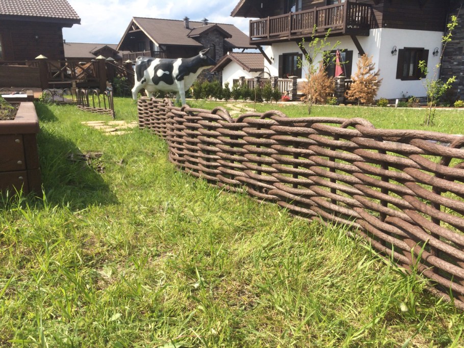 Лоза ивы плетень