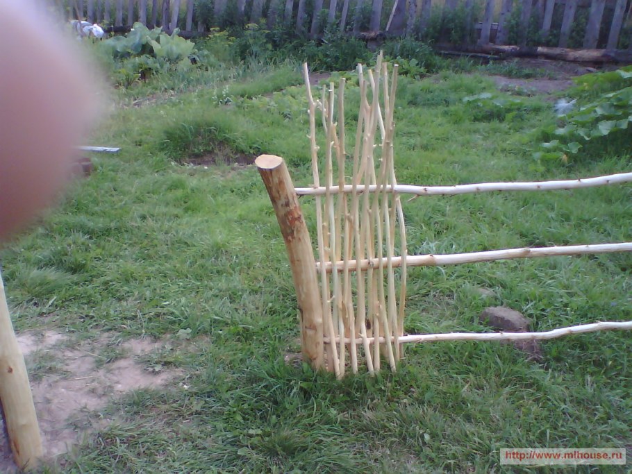 Плетень из живой ивы