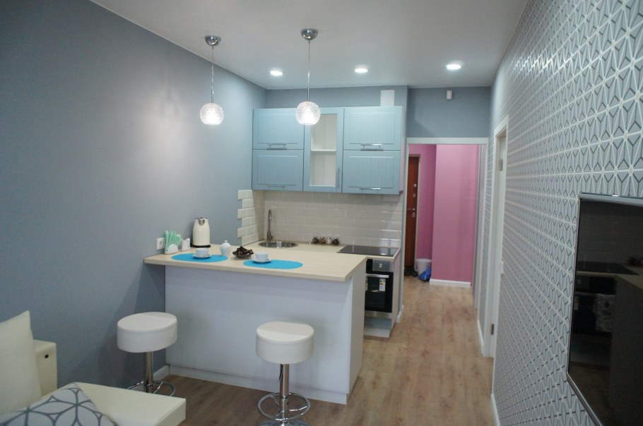 Кухня студия 25кв.м. вертикальная