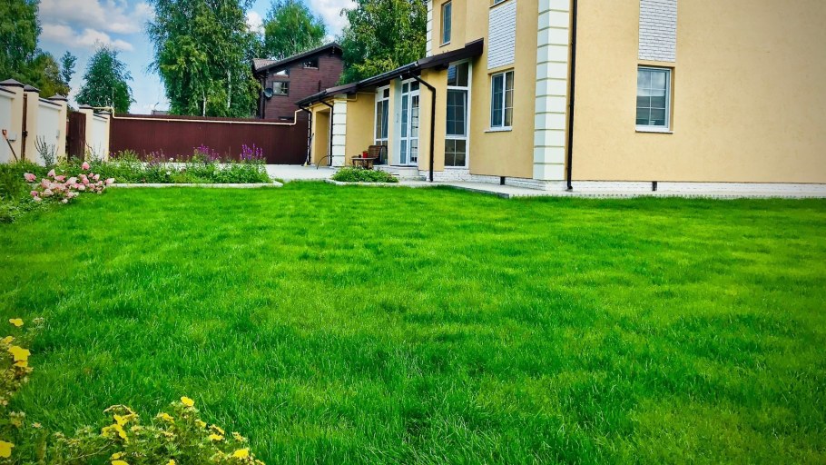 Сады с хвойниками Германия