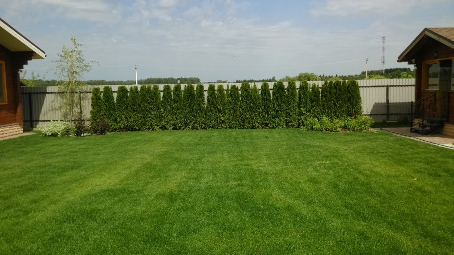 Поль Бонгини мини гольф