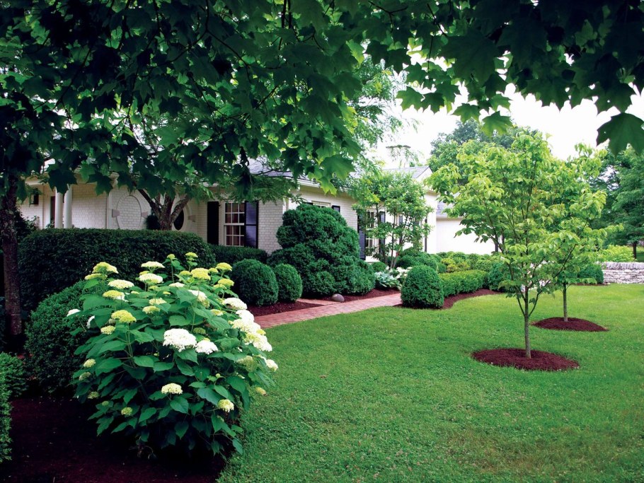 Современный ландшафт