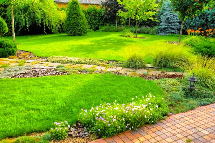 Газон партерный мавританский и обыкновенный