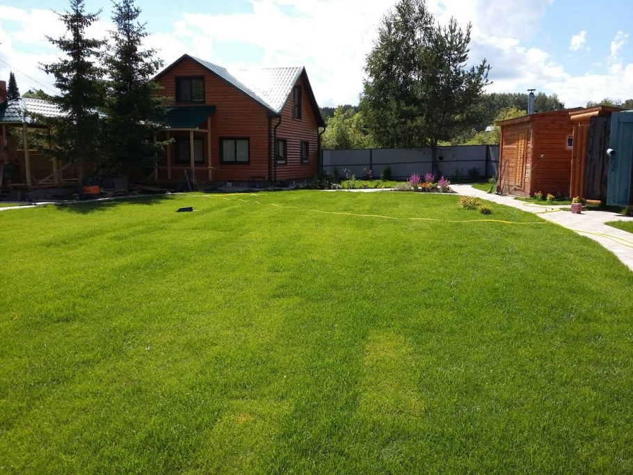 Газон и дорожки на участке