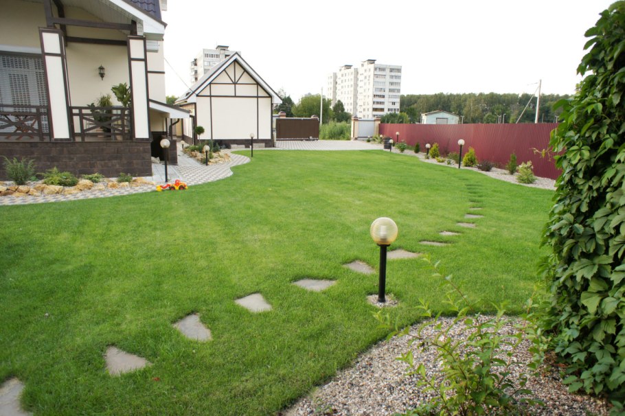 Рулонный газон на даче