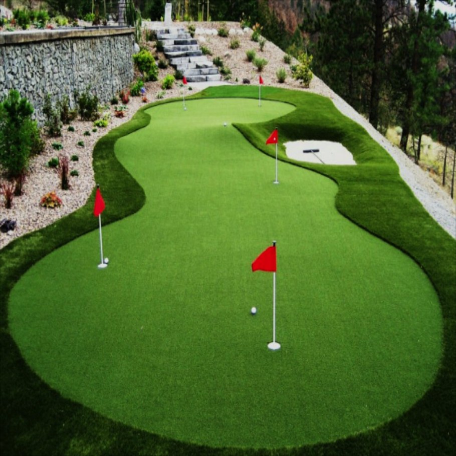 Газон на заднем дворе