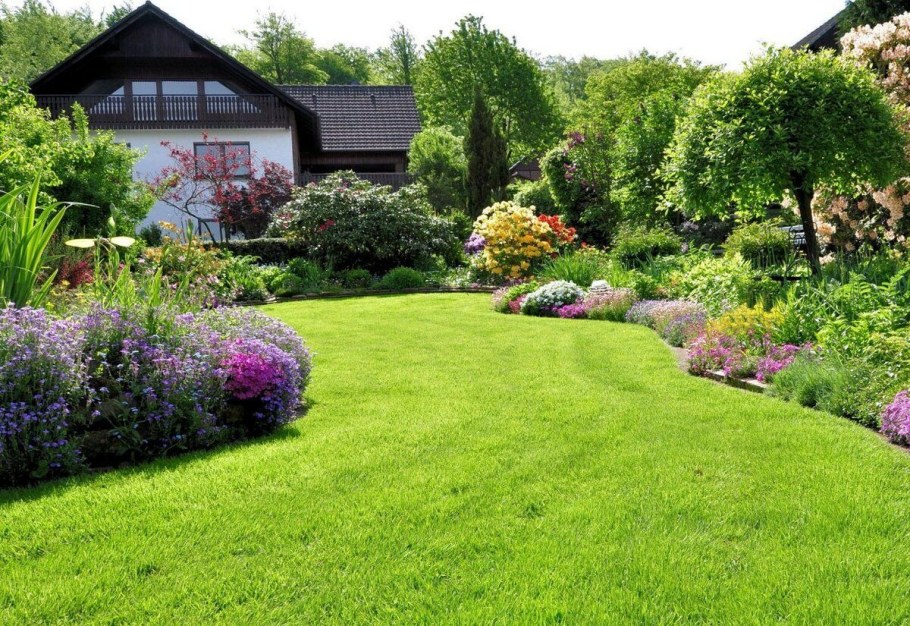 Дачный газон