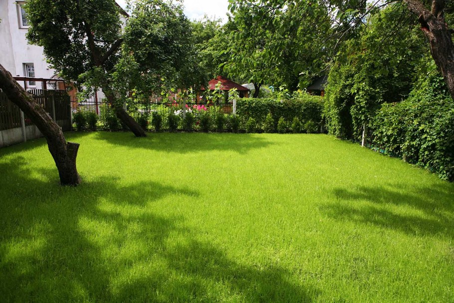 Благоустройство участка на склоне