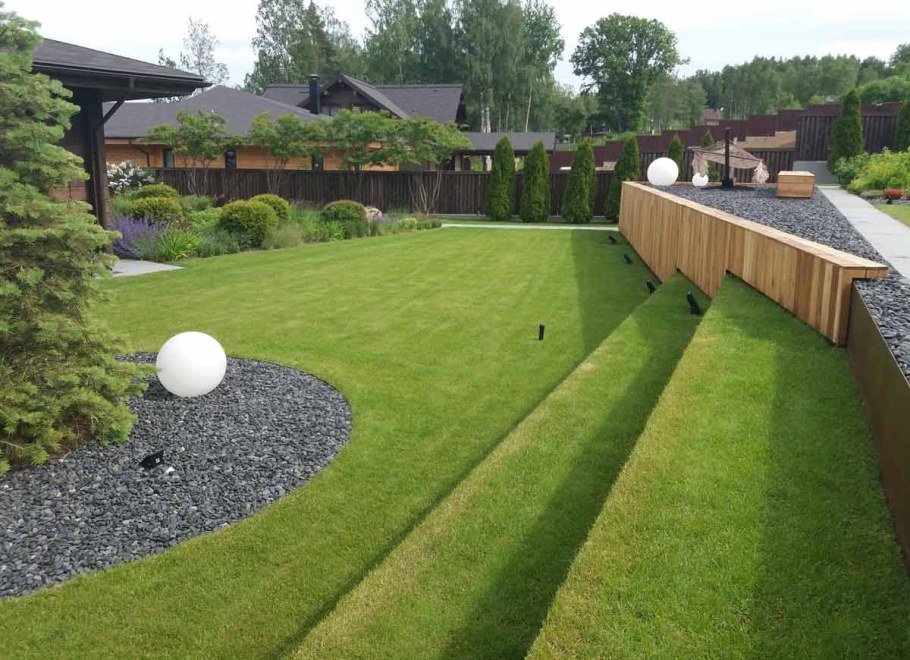 Овсяница красная Максима 1