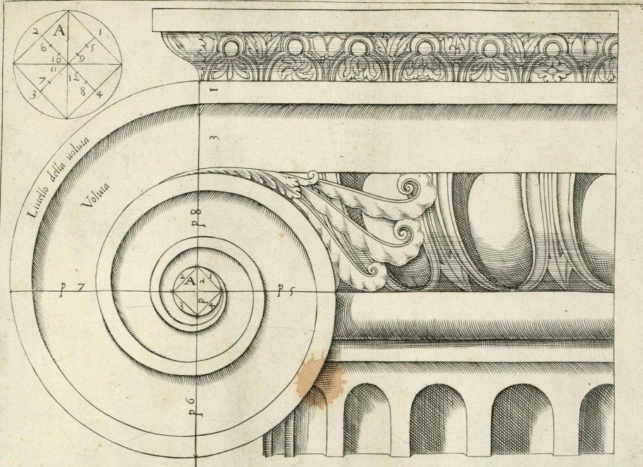 Капитель Ионического ордера чертеж