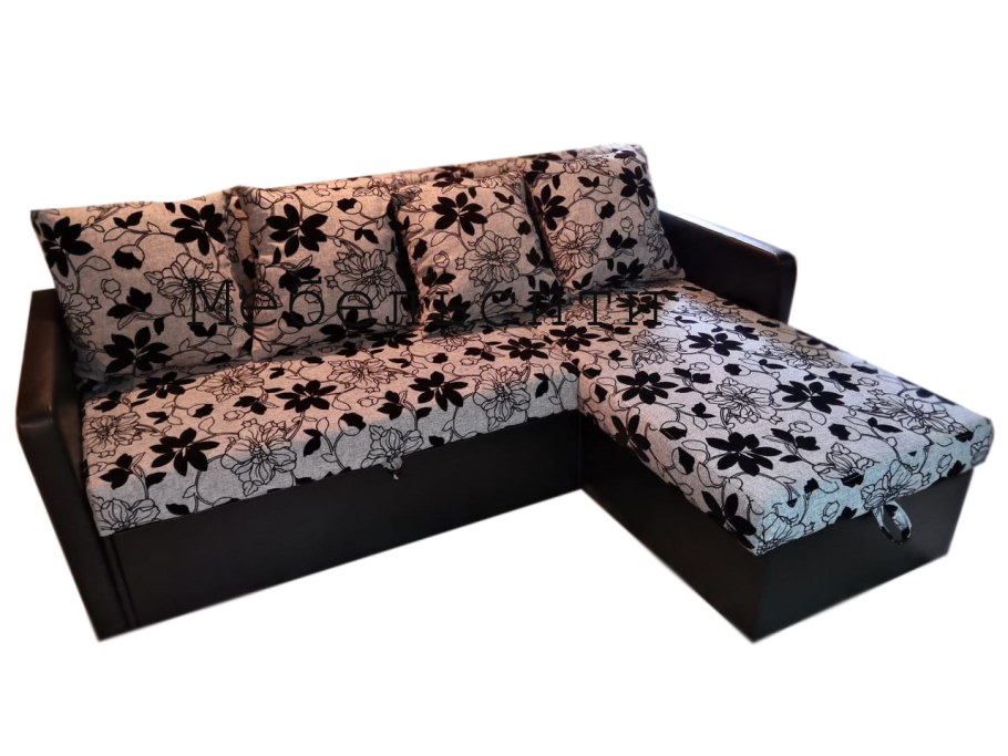 Эгида Тедди 731