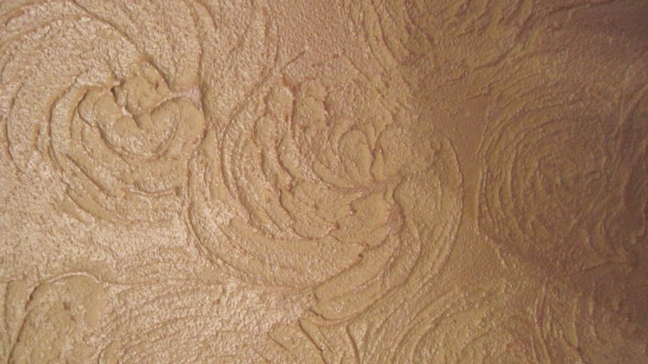 Короед венецианка