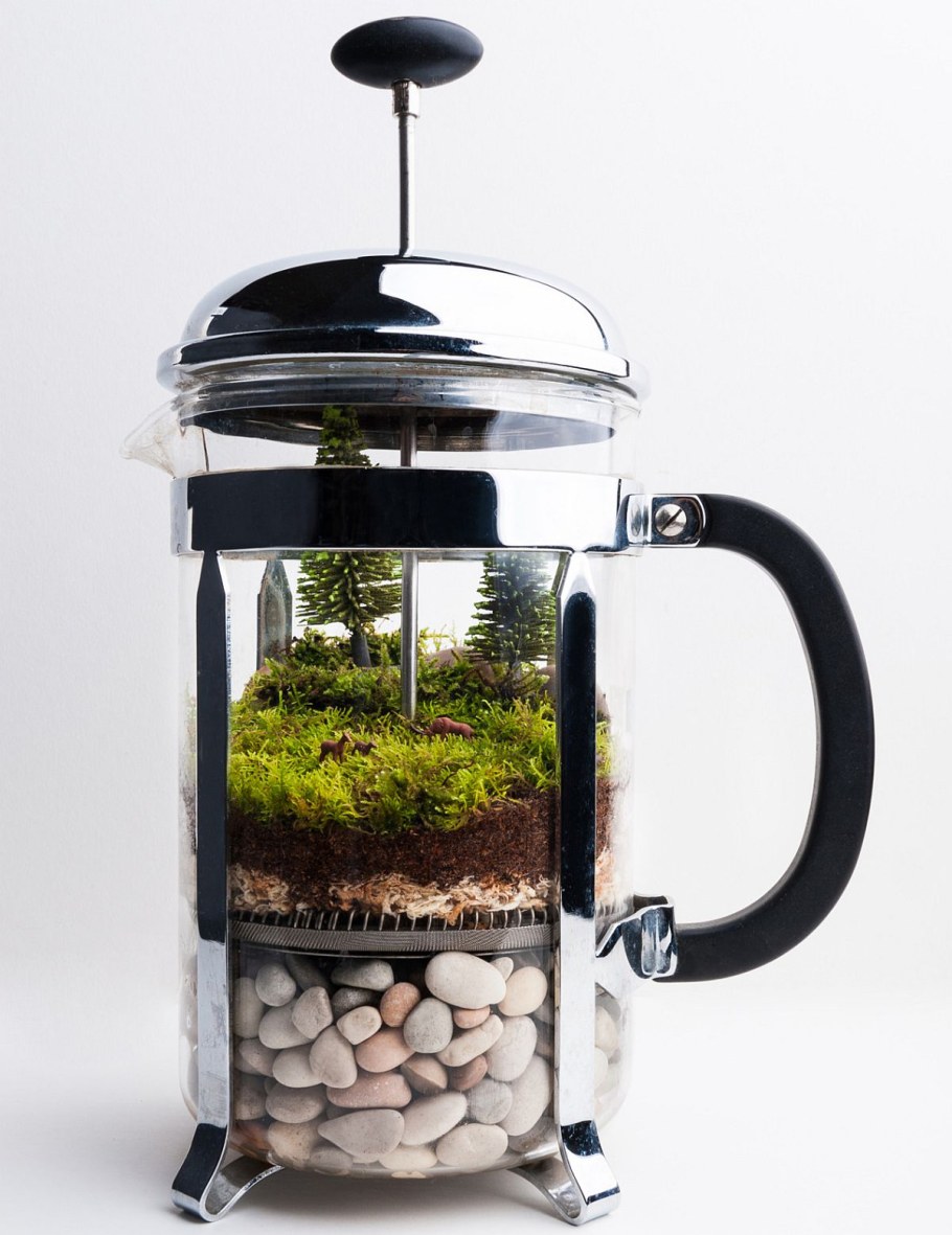 Флорариум в чайнике