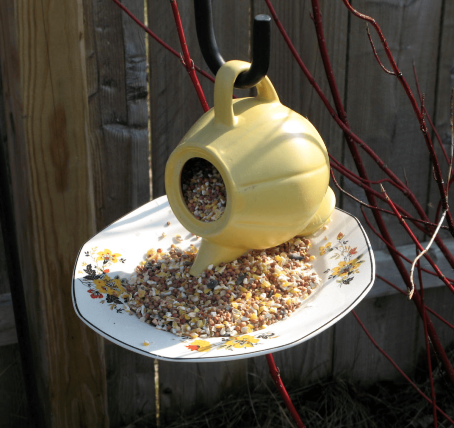 Креативная кормушка