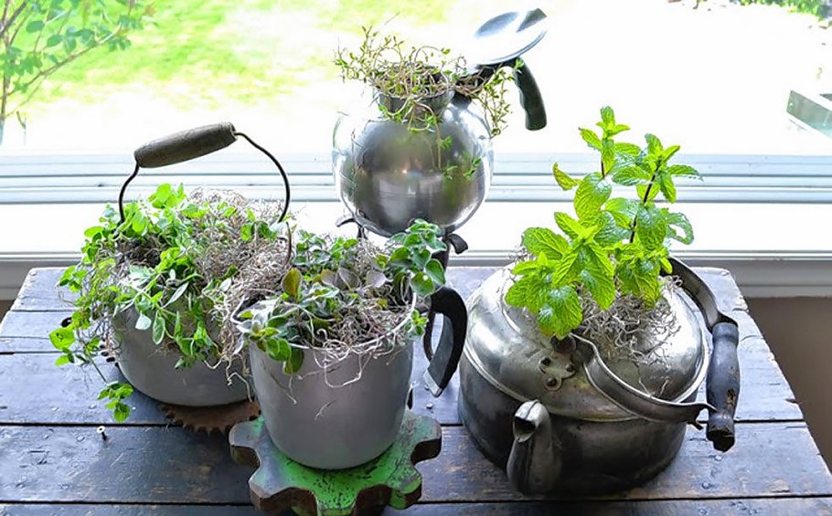 Цветочный горшок из чайника