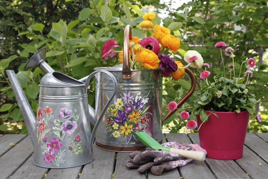 Цветник в лейке
