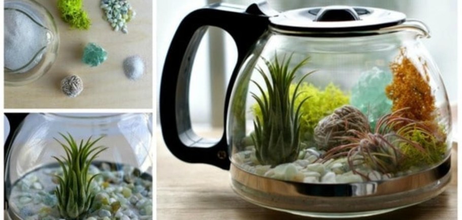 Декор из стеклянного чайника