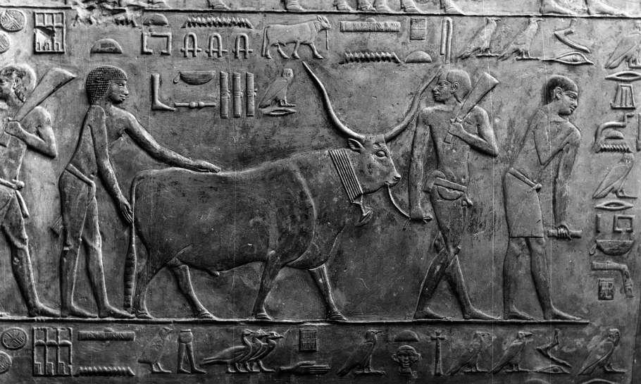 Барельеф, горельеф, контррельеф, койланаглиф