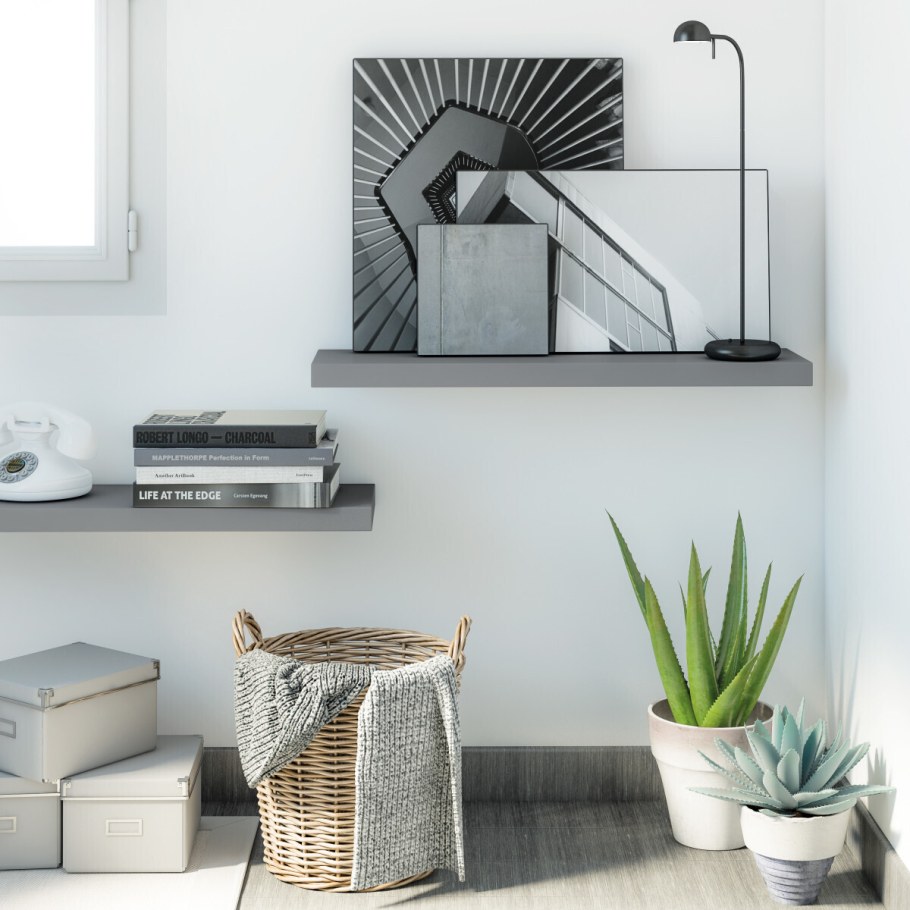 Spaceo полка 80