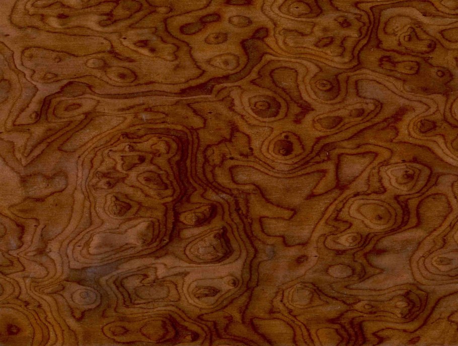 Экзотическая древесина