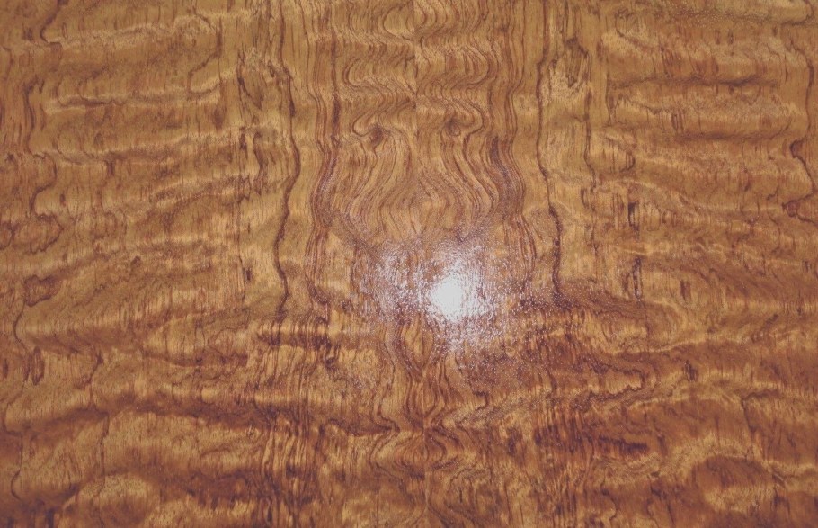 Африканское розовое дерево Бубинга