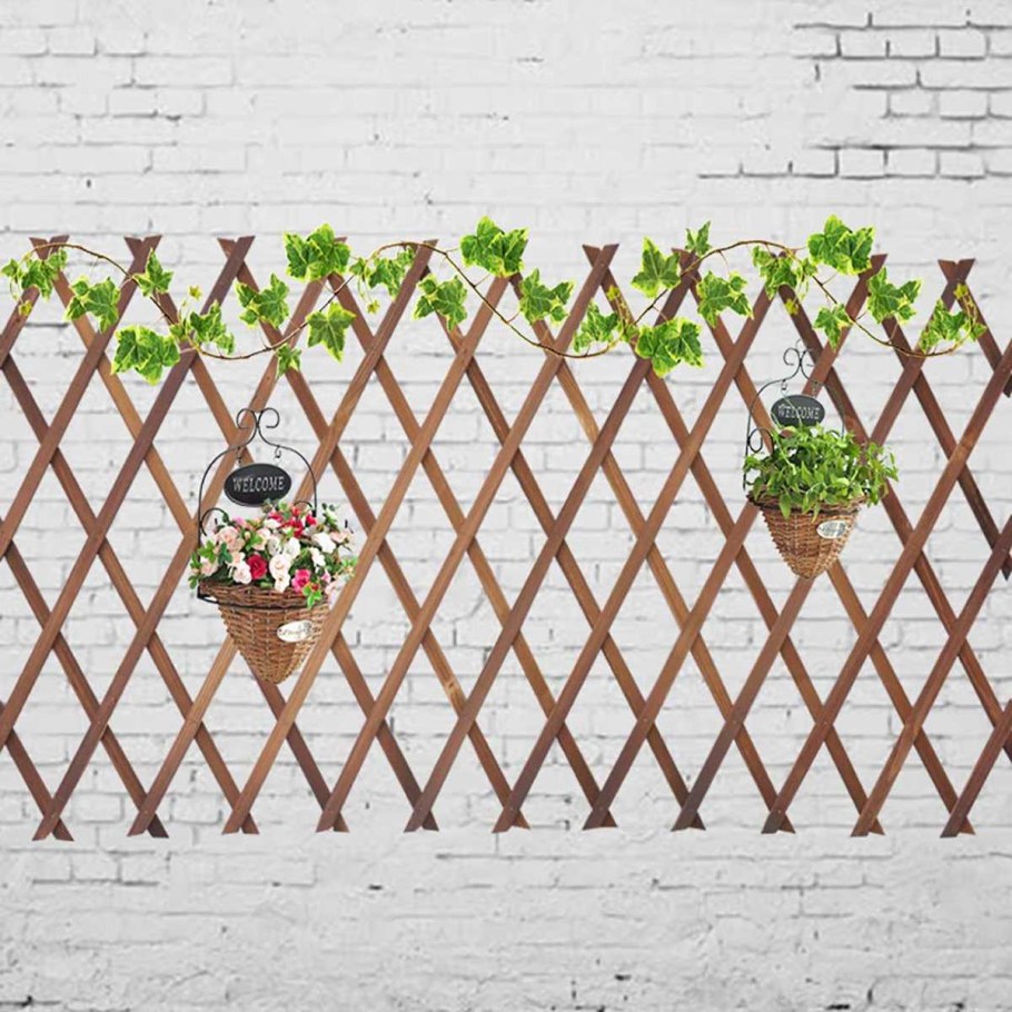 Забор из шпалеры