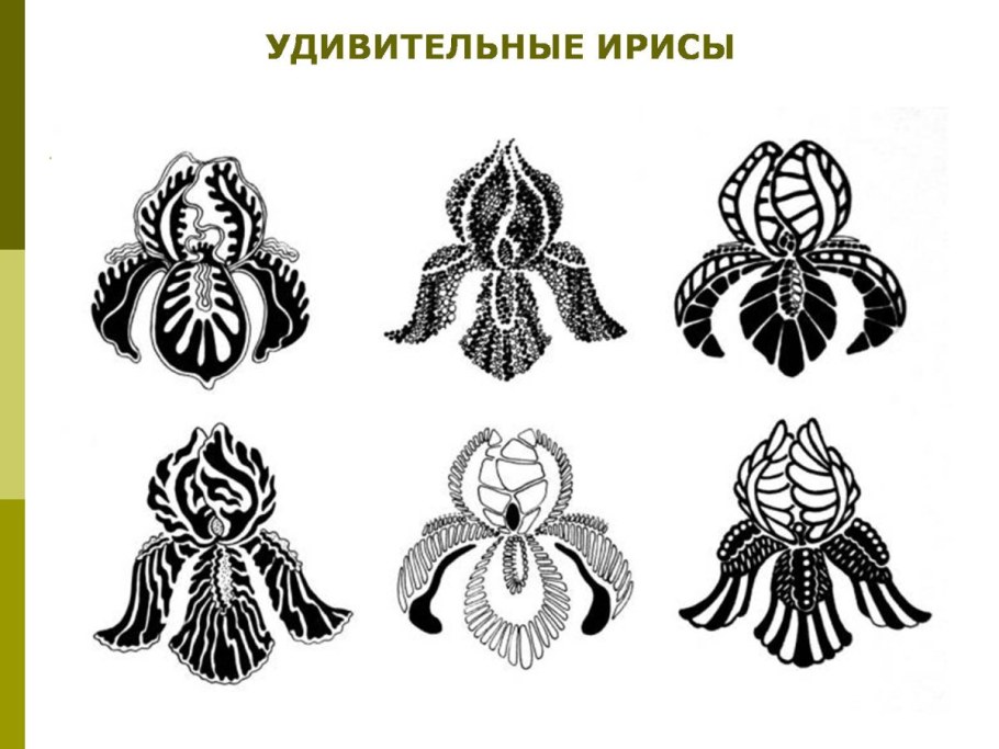 Орнаменты Модерна. "Combinaisons ornementales" - II