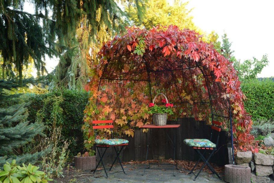 Пергола полуарка