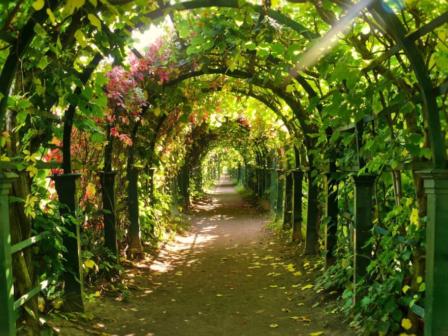 Арка под Хмель