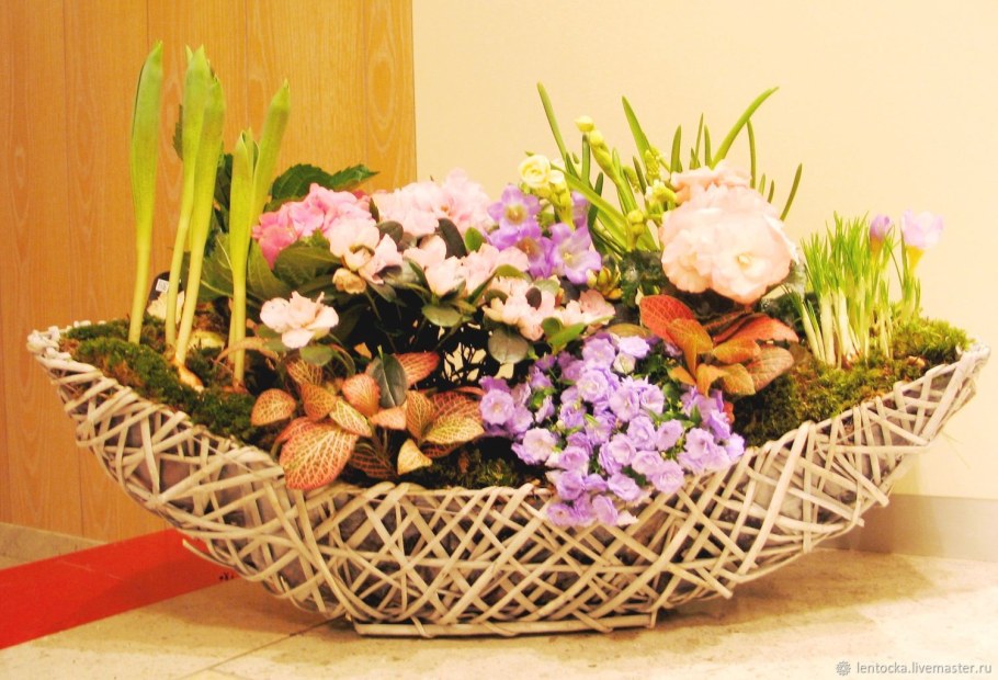 Букет сухоцветов Эстетика