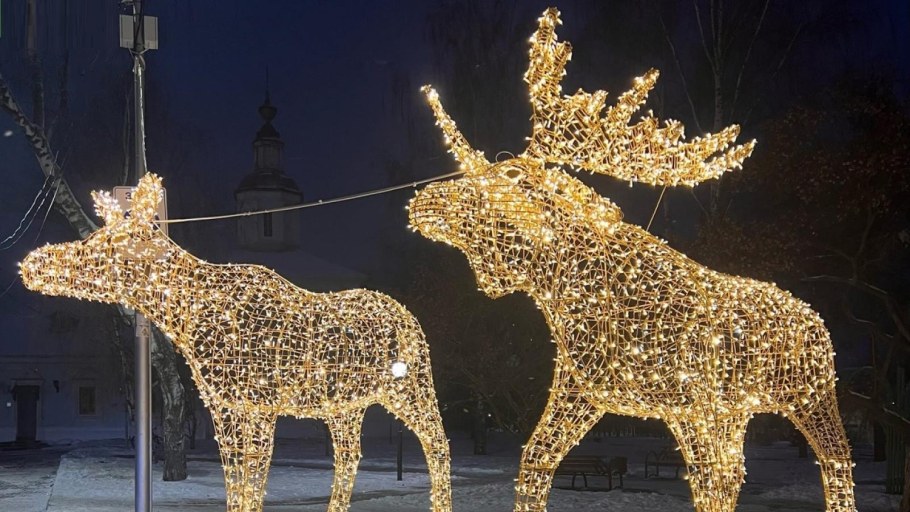 Парк Победы Вологда