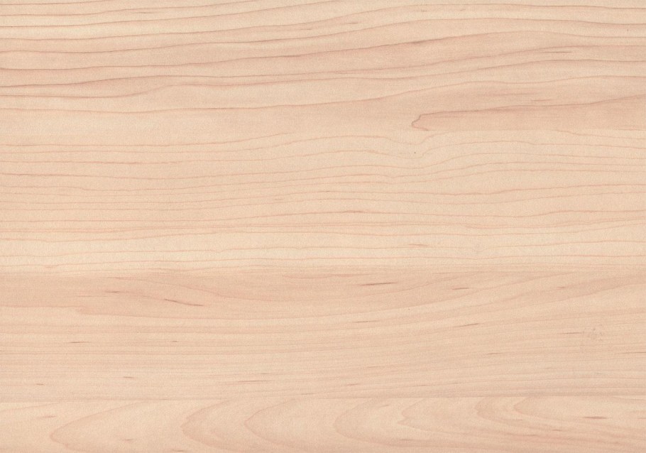 Клен танзай Эггер