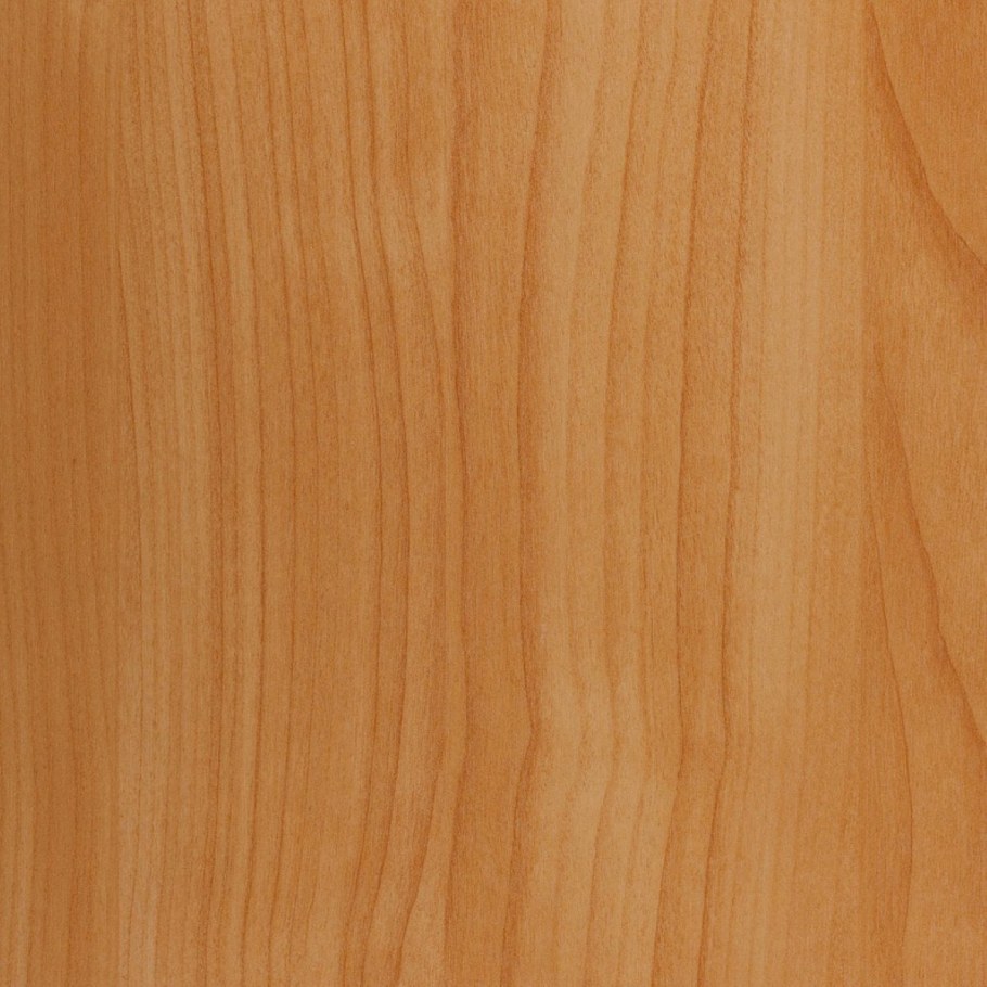 Деревья разных пород