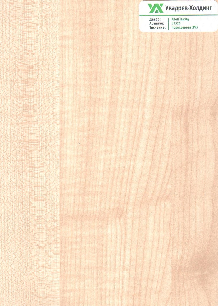 ЛДСП 16мм клен танзай