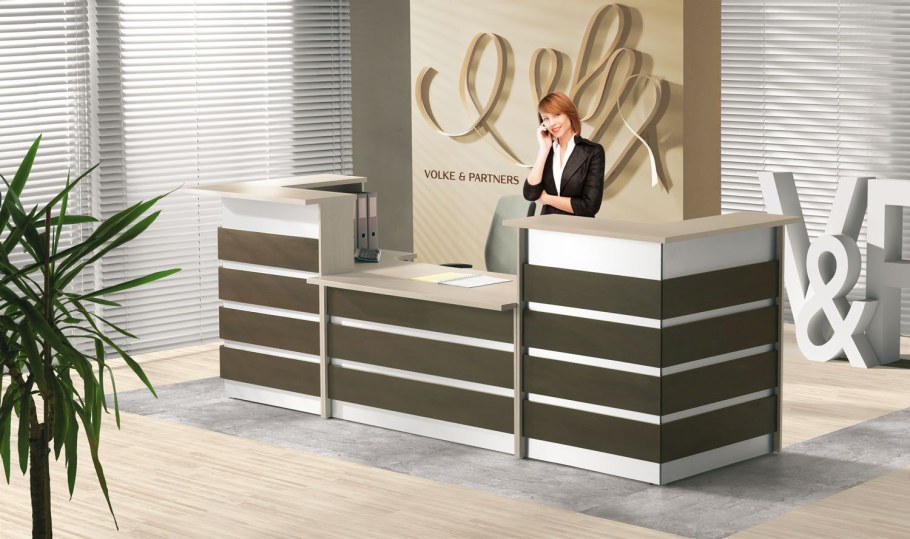 Ресепшн "Dex" комбинация 3