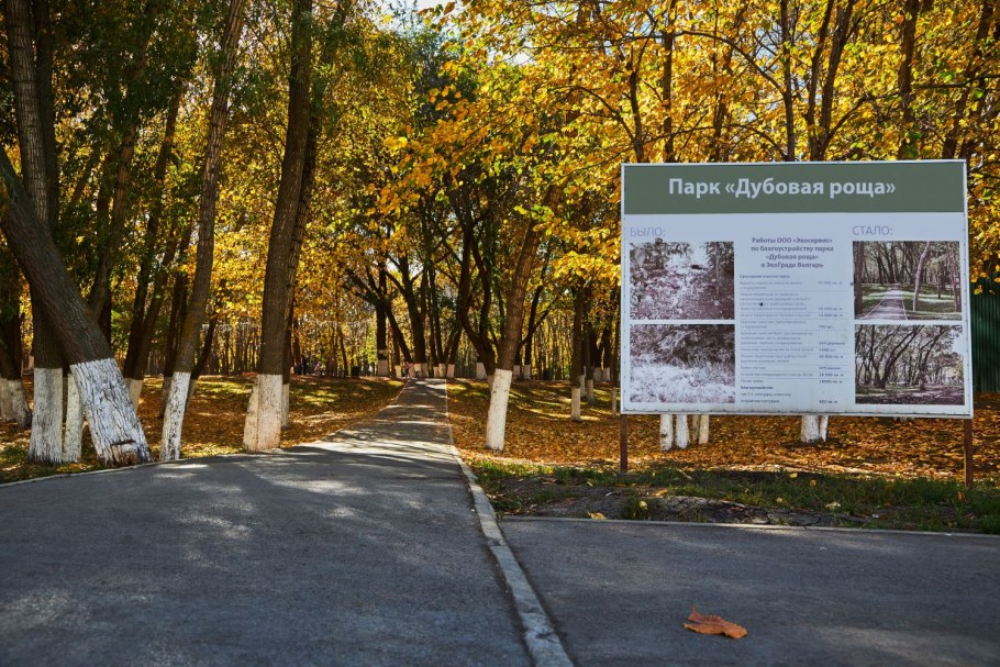 Дубовая роща Городовиковск