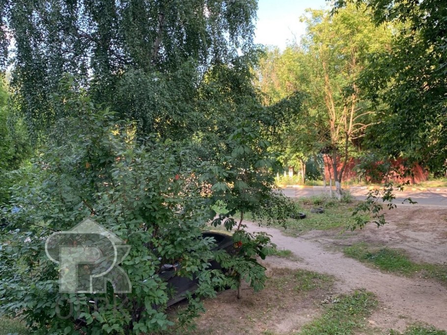 Шишкин Иван Иванович дубовая роща