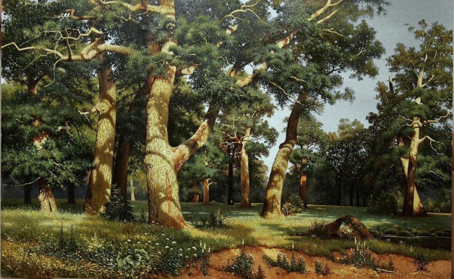 Белгород поселок Дубовое