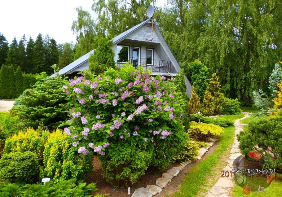 Красивая дача