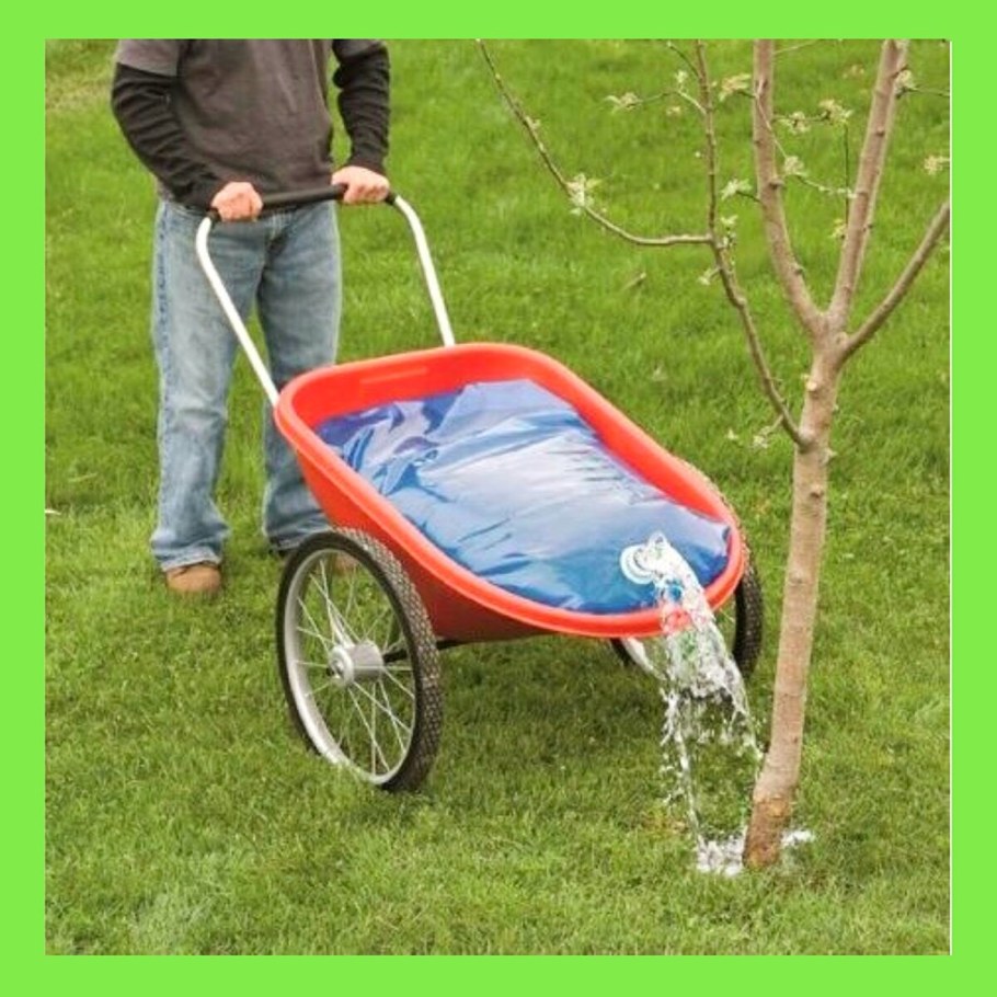 Тачка для дачи