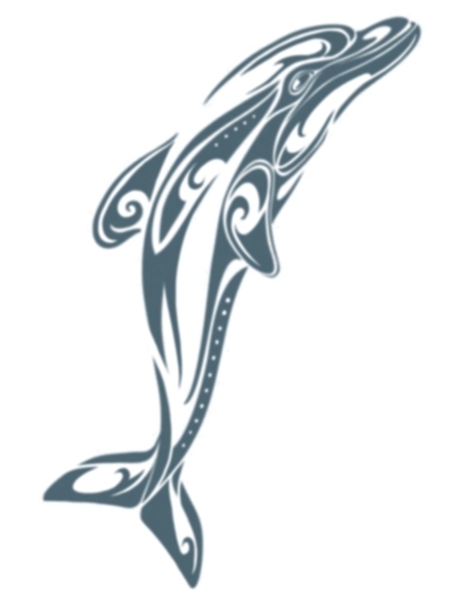 Дельфин черно белый