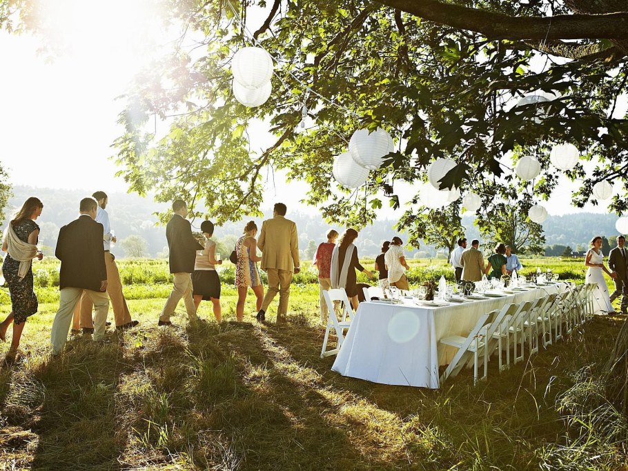 Свадебное торжество на природе